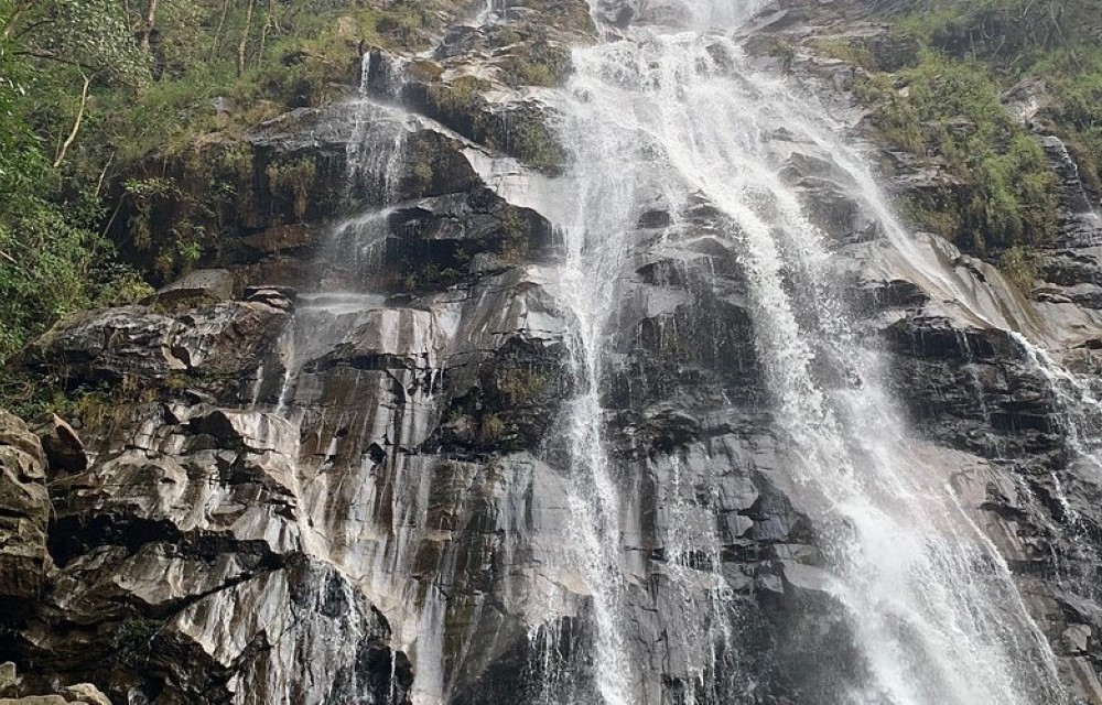 Bee Falls
